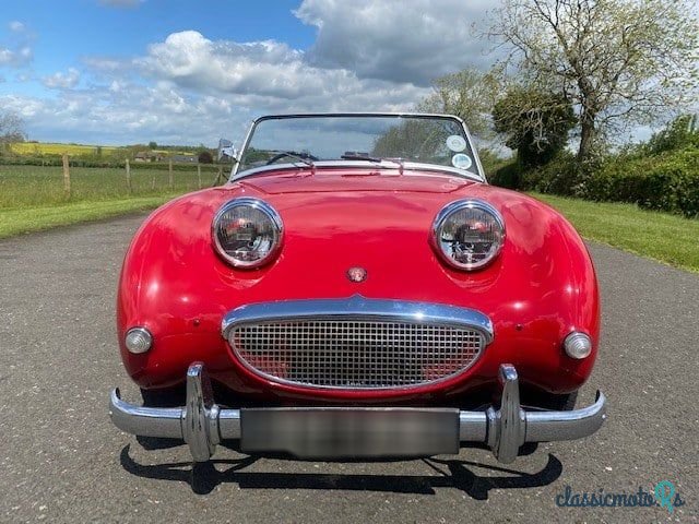 1959' Austin-Healey Sprite photo #2