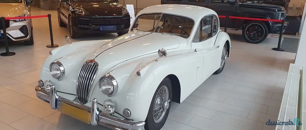 1955' Jaguar XK photo #1