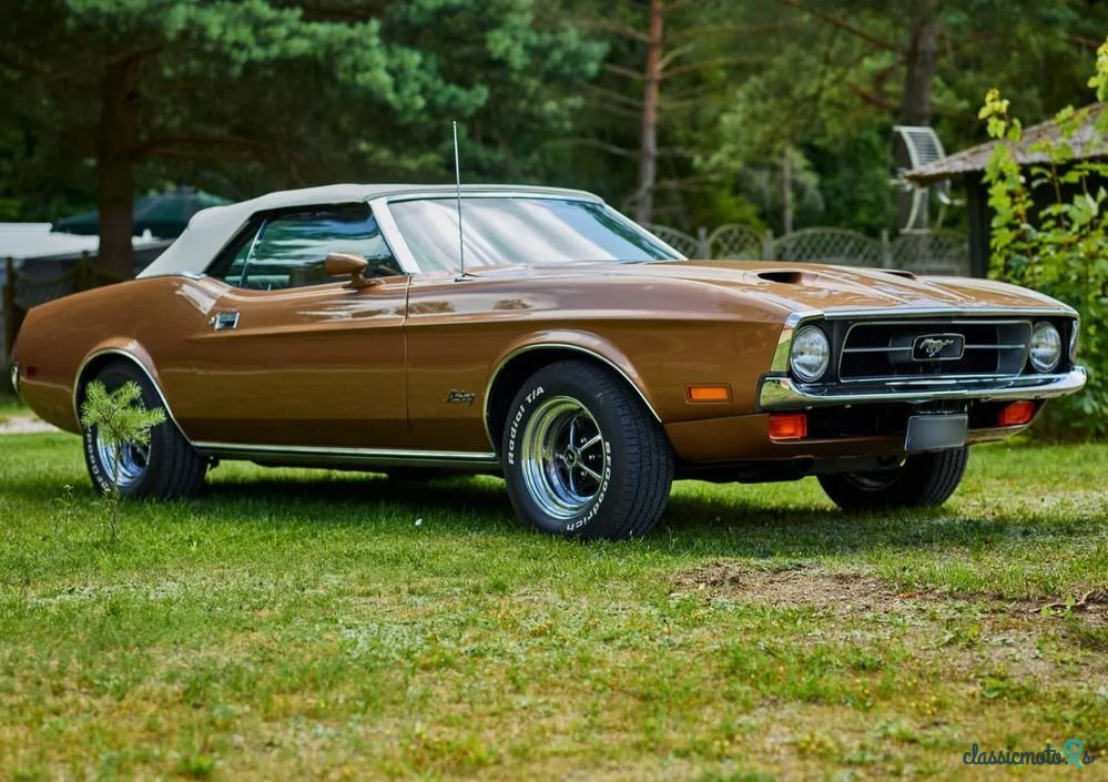 1971' Ford Mustang photo #4