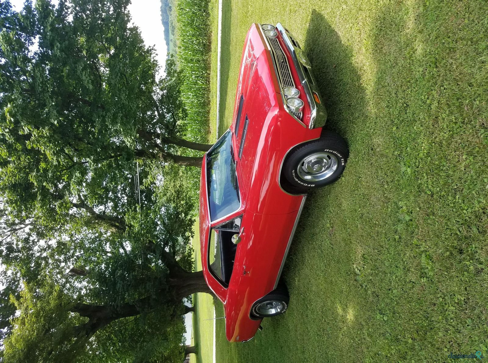 1966' Chevrolet Chevelle photo #3