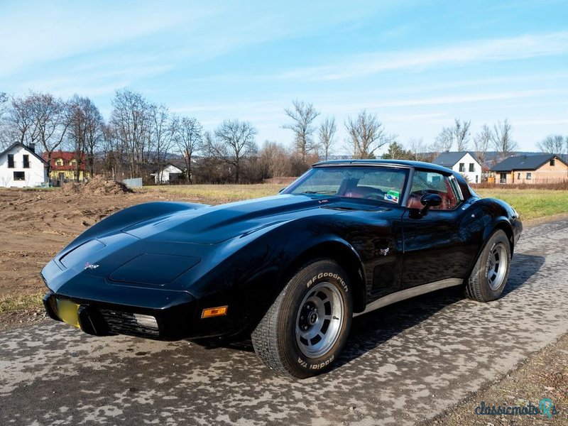 1979' Chevrolet Corvette photo #3