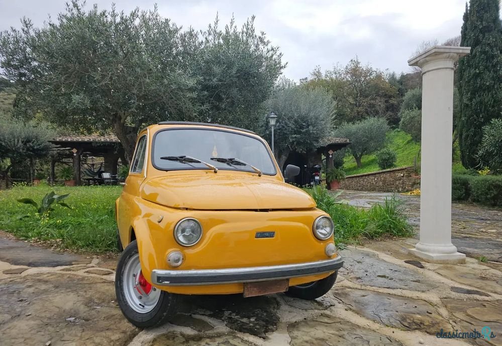 1969' Fiat 500L photo #5