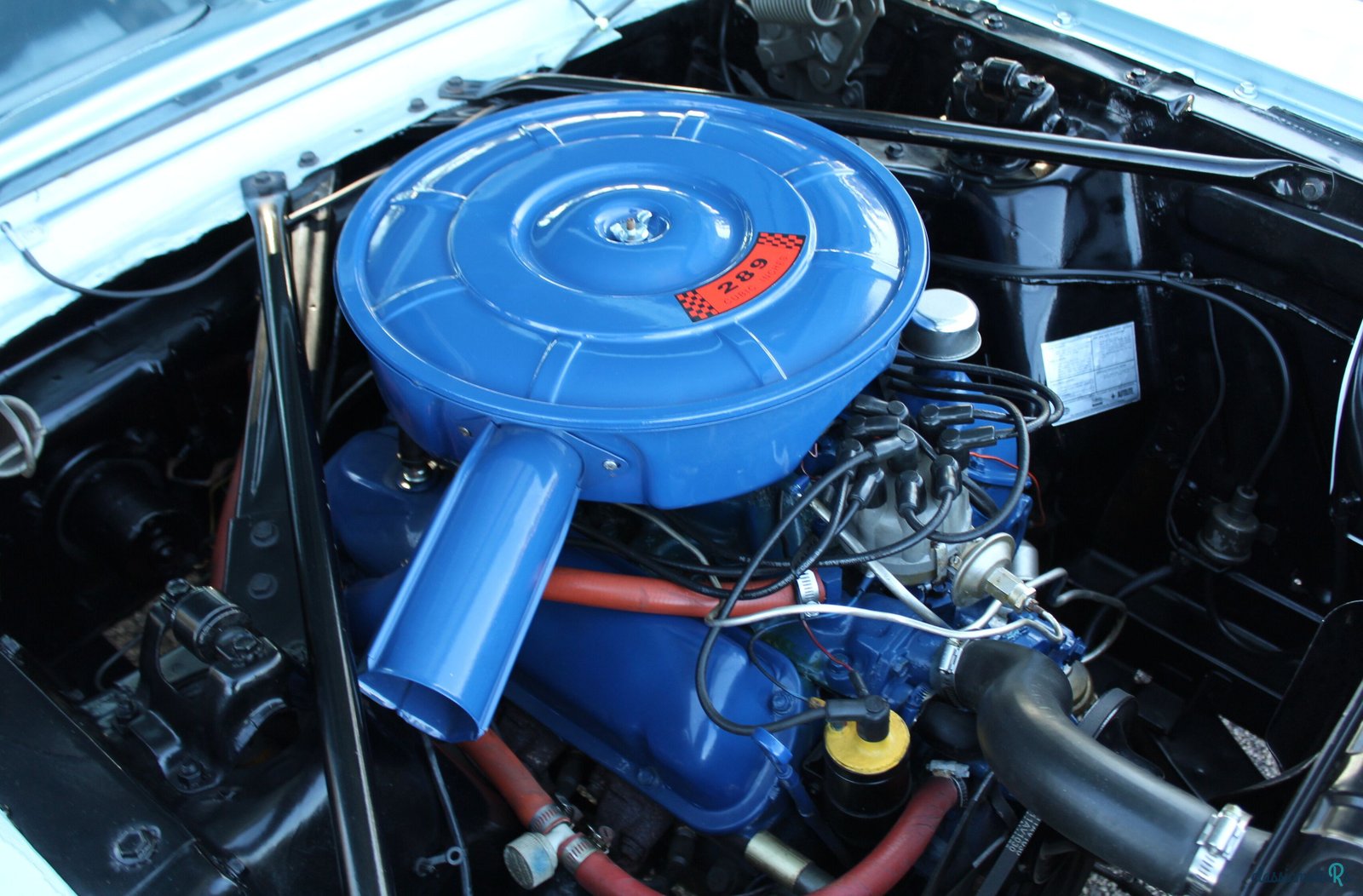 1966' Ford Mustang photo #5