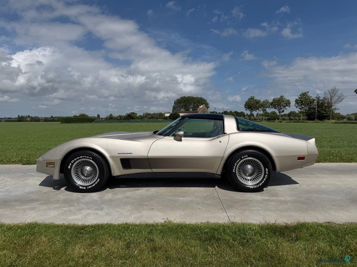 1982' Chevrolet Corvette photo #2