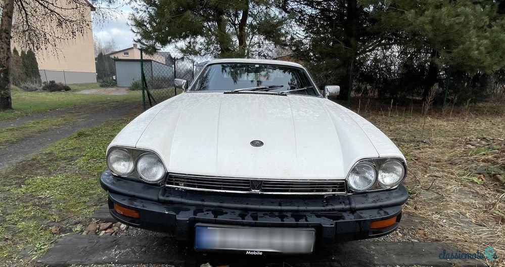 1979' Jaguar XJS photo #6