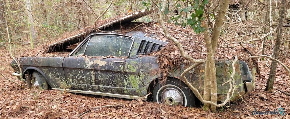 1965' Ford Mustang photo #1