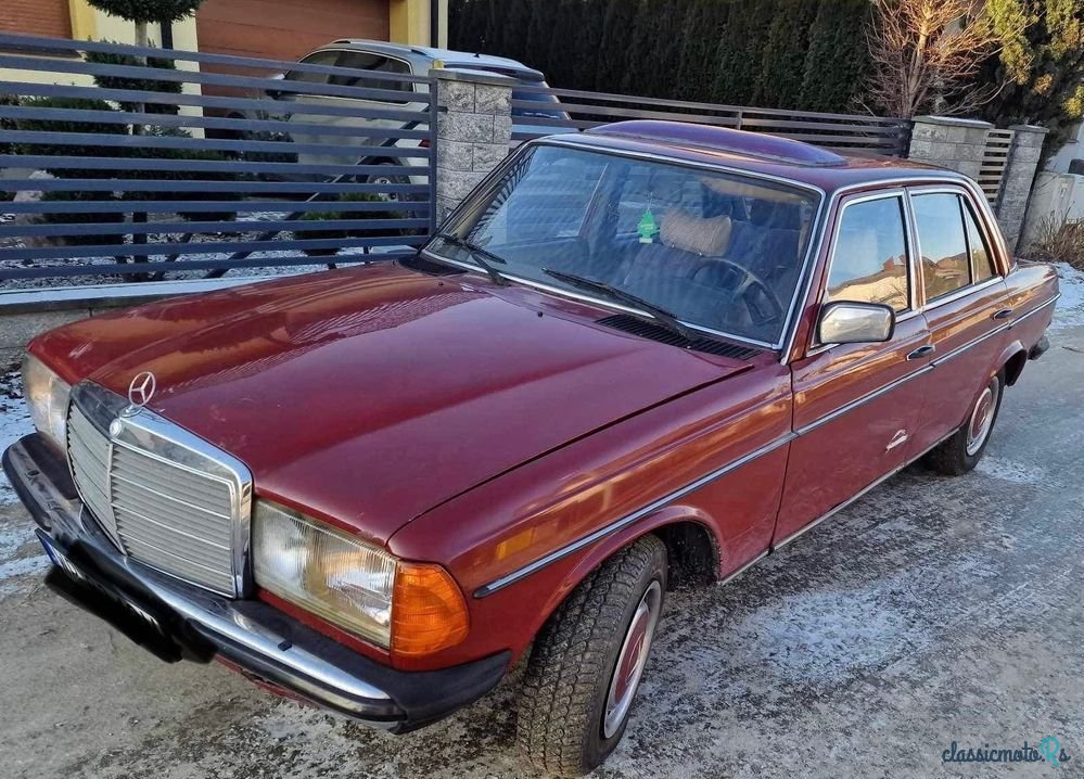 1976' Mercedes-Benz W123 photo #2