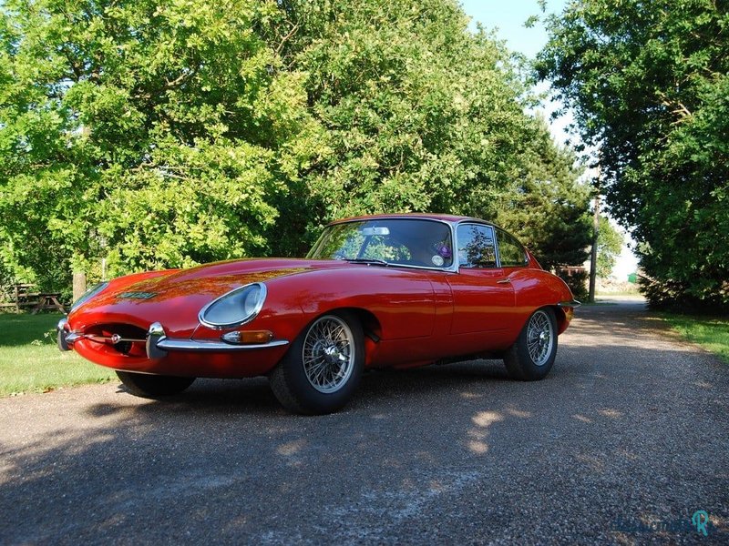1962' Jaguar E-Type photo #4