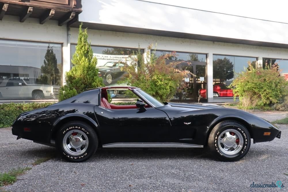 1977' Chevrolet Corvette photo #6