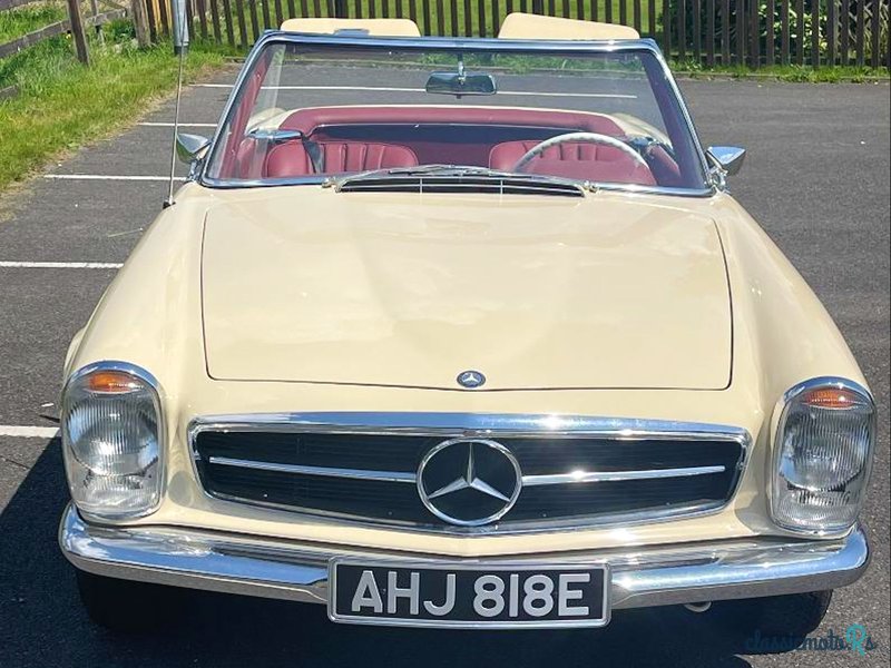 1967' Mercedes-Benz 250Sl photo #1