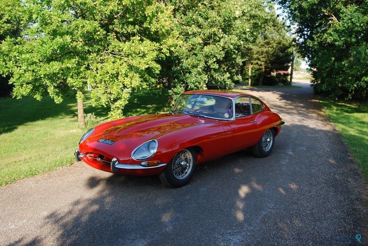 1962' Jaguar E-Type photo #5