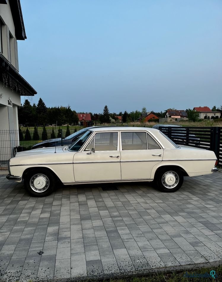 1969' Mercedes-Benz W114 230/8 photo #3