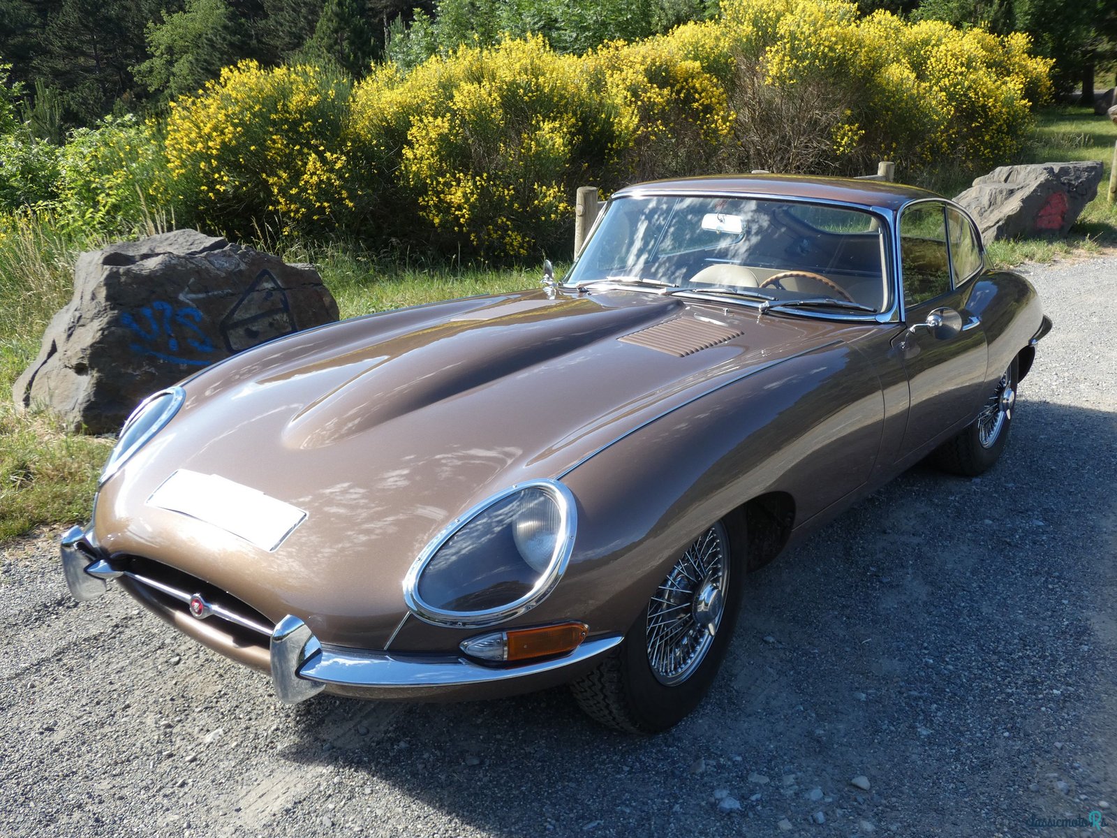 1961' Jaguar E-Type photo #2