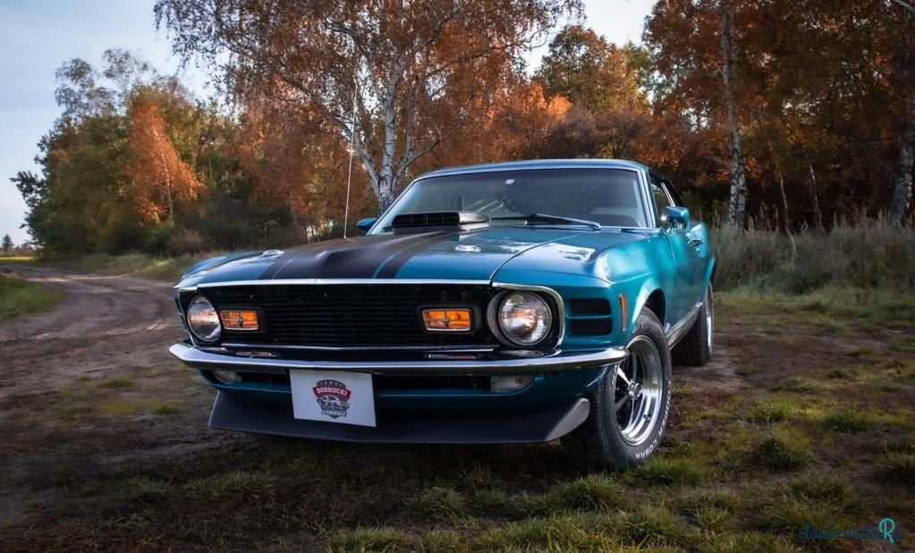 1970' Ford Mustang photo #1