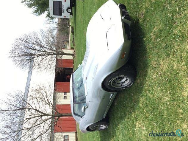 1977' Chevrolet Corvette photo #1