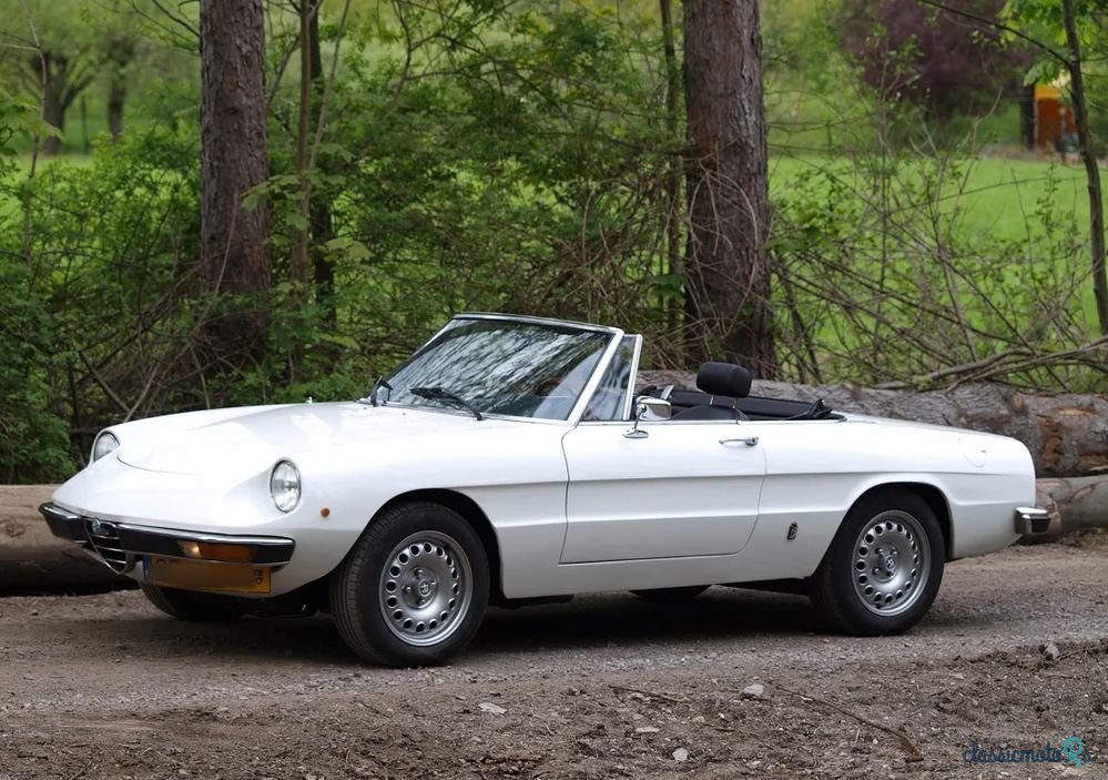1978' Alfa Romeo Spider photo #1