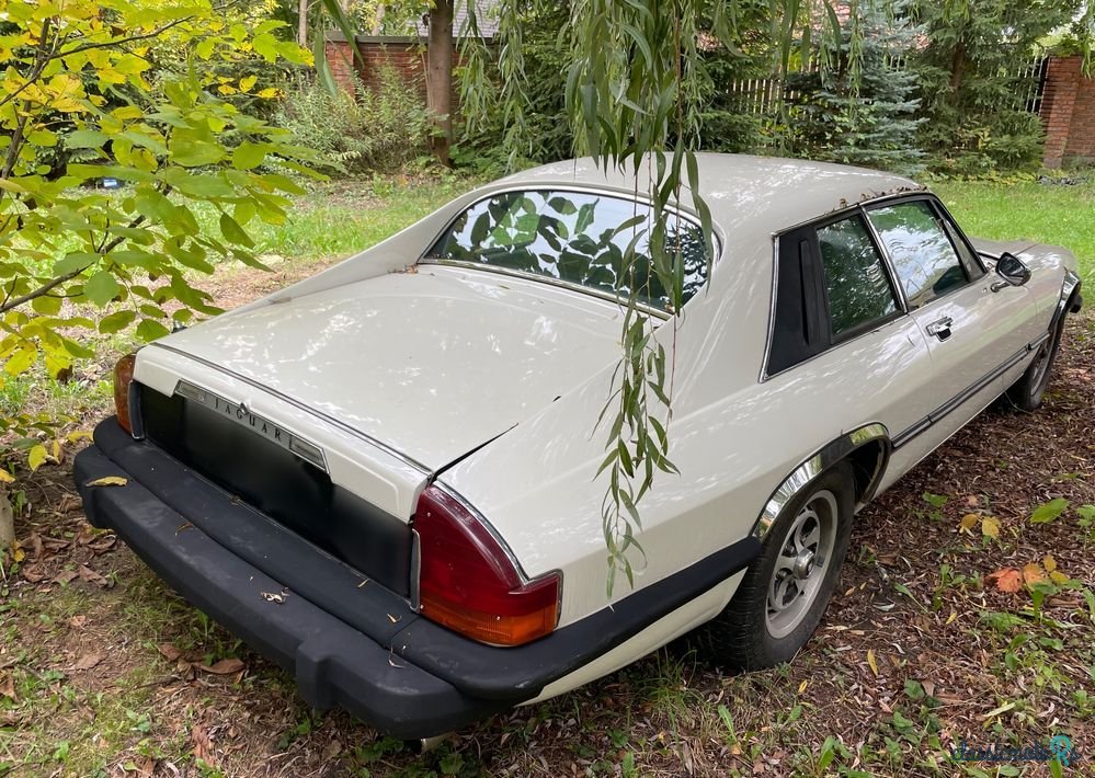 1976' Jaguar XJS photo #3