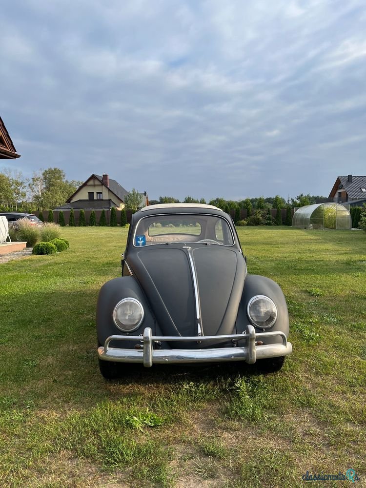 1962' Volkswagen Garbus photo #1