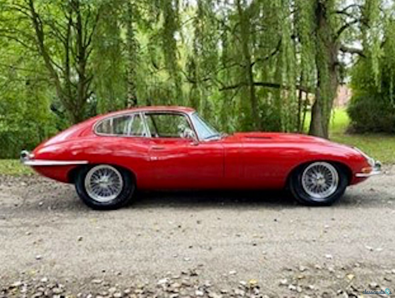 1966' Jaguar E-Type photo #6