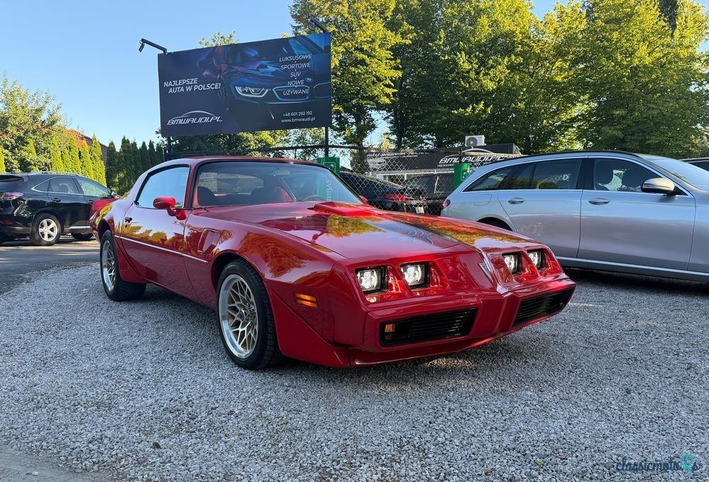 1979' Pontiac Trans Am photo #3