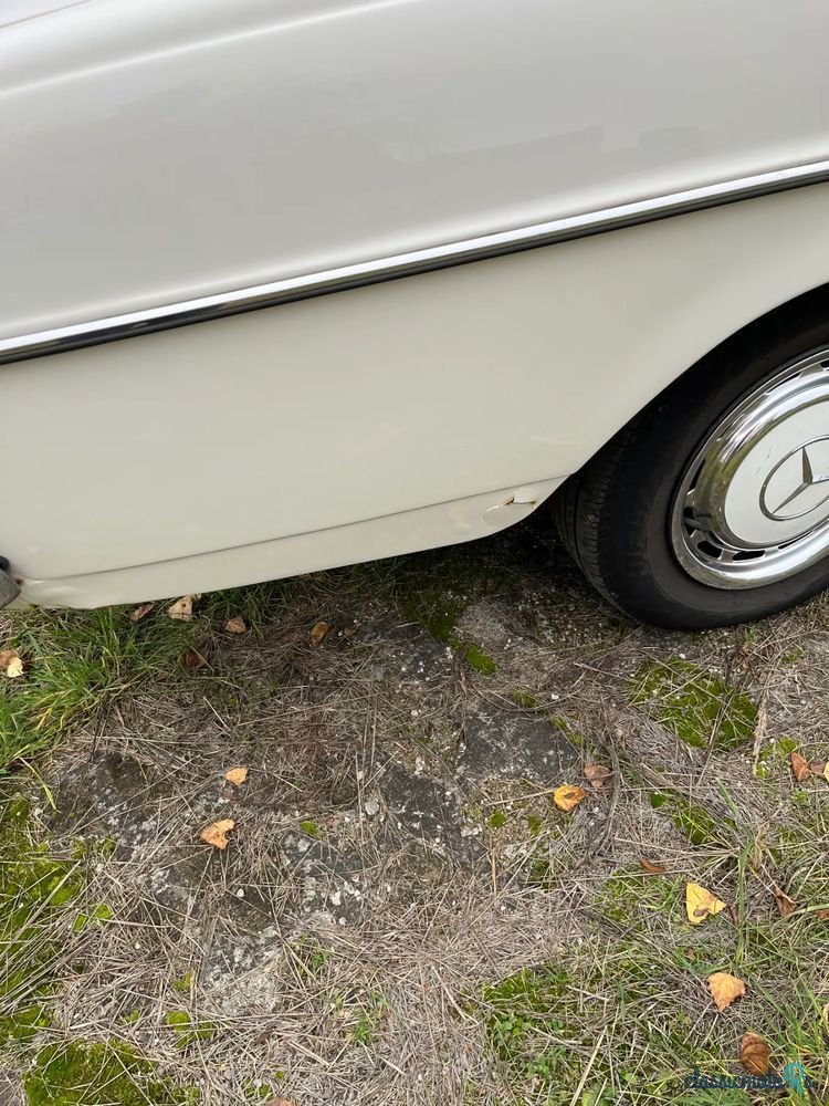 1974' Mercedes-Benz Klasa E photo #5