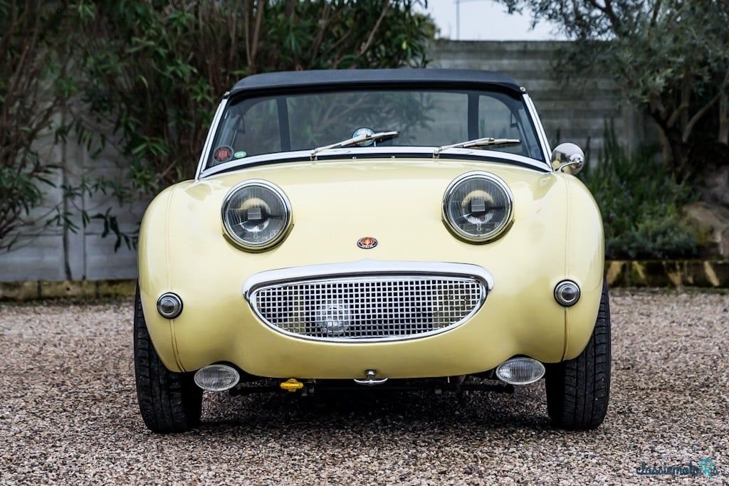 1959' Austin-Healey Sprite photo #2