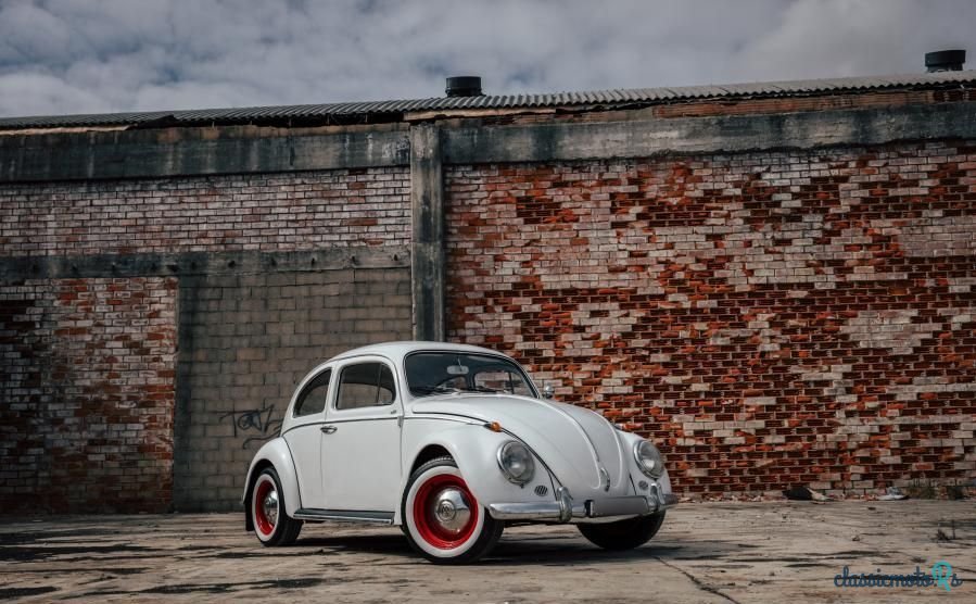 1963' Volkswagen Carocha photo #2