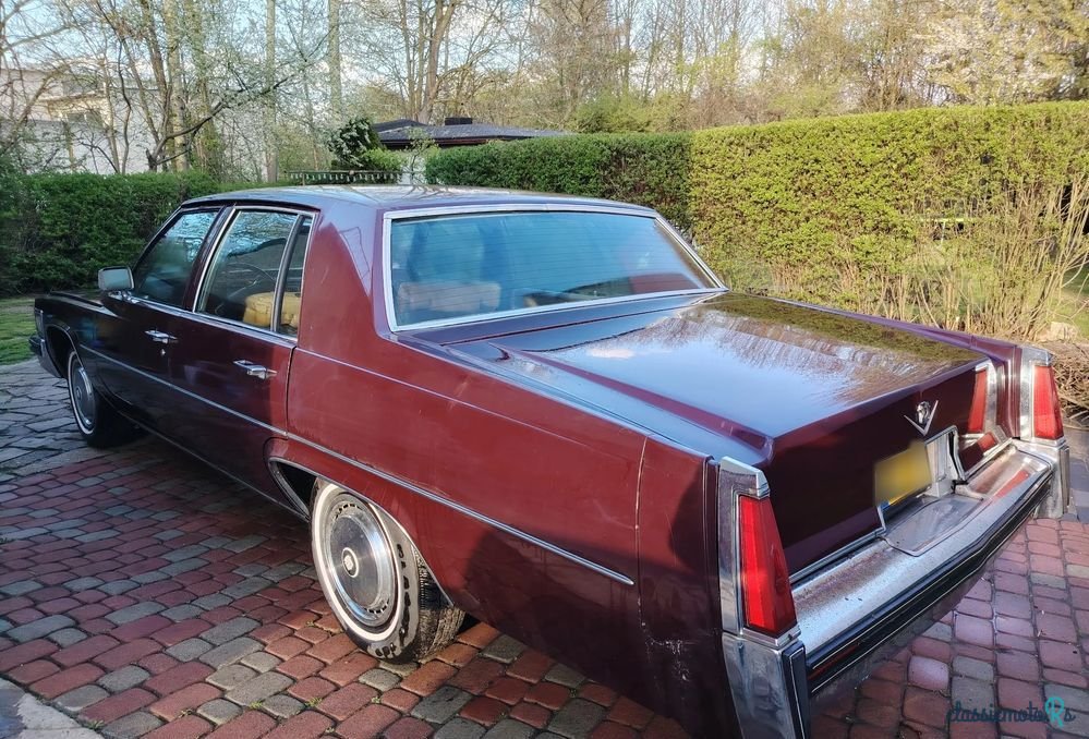 1977' Cadillac Deville photo #6