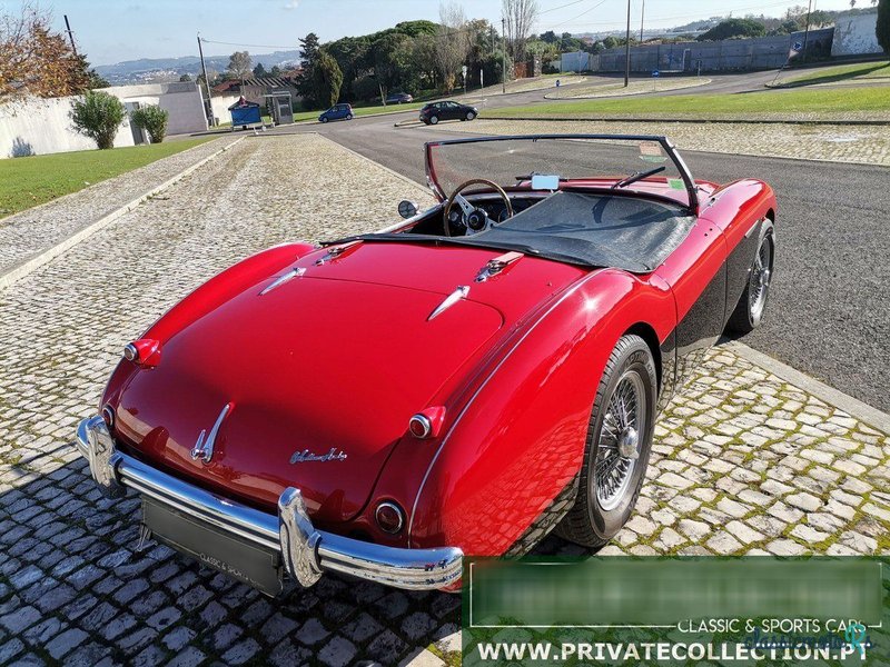 1955' Austin-Healey 100 photo #4