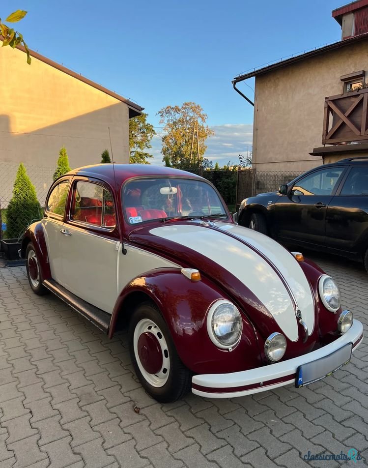 1967' Volkswagen Garbus photo #3