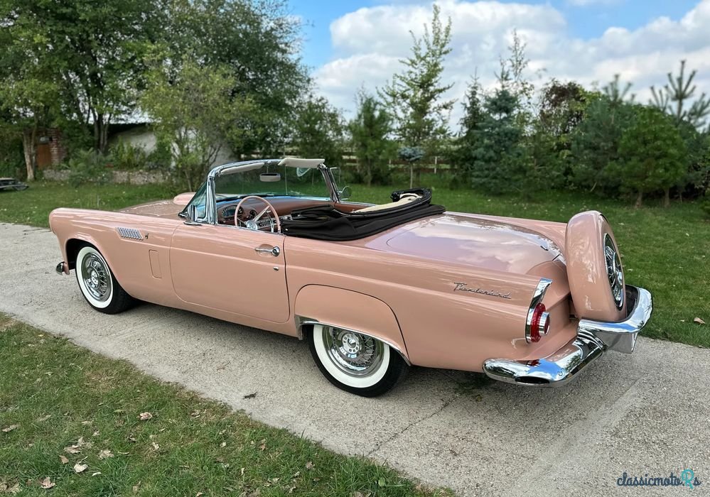 1956' Ford Thunderbird photo #4