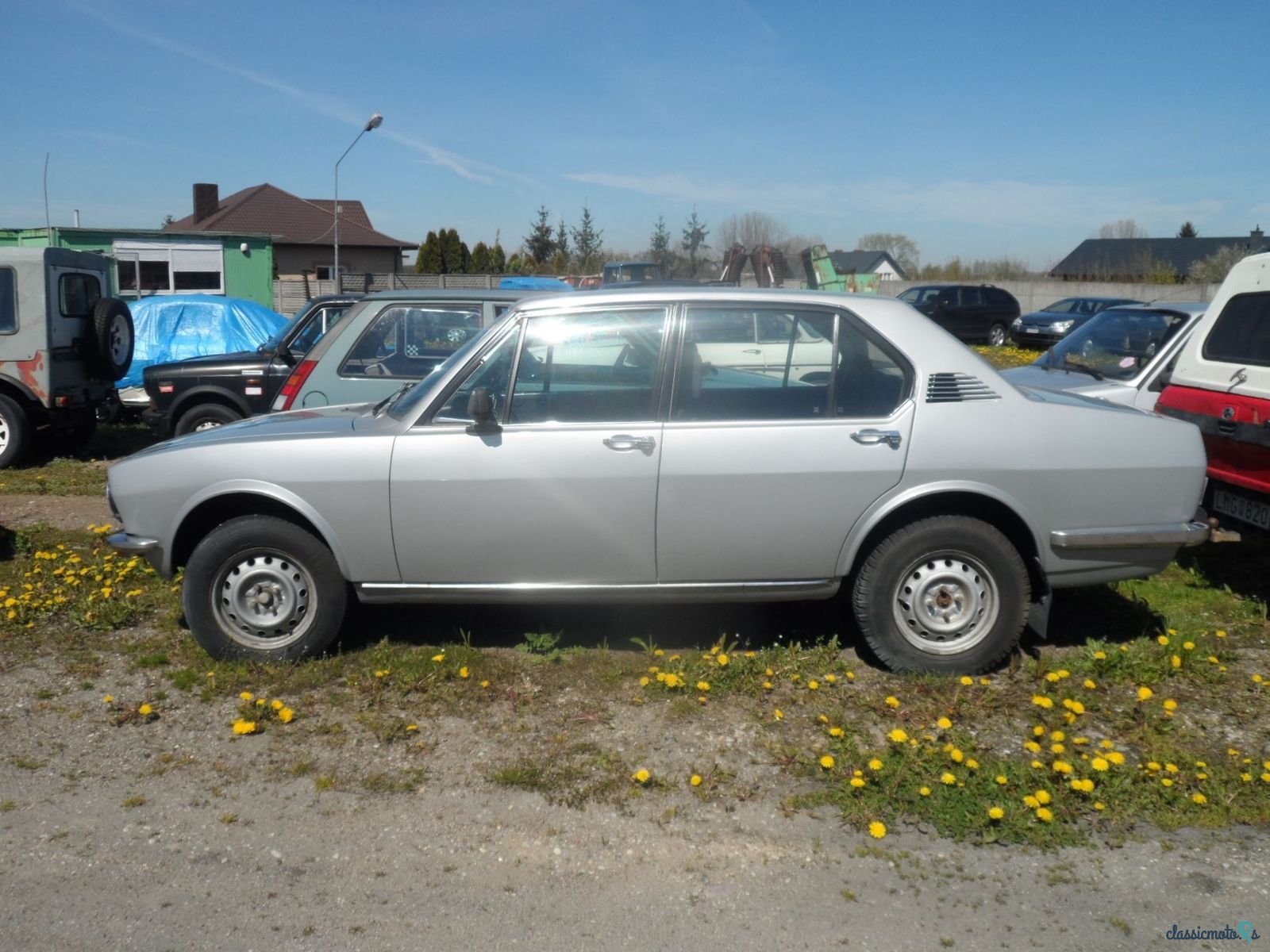 1977' Alfa Romeo Alfetta photo #3