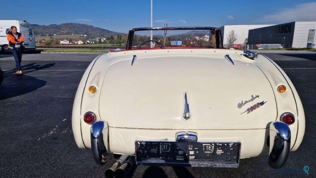 1962' Austin-Healey photo #4