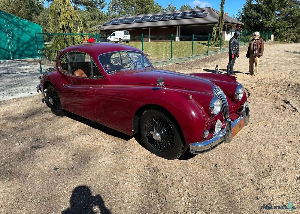 1955' Jaguar XK photo #4