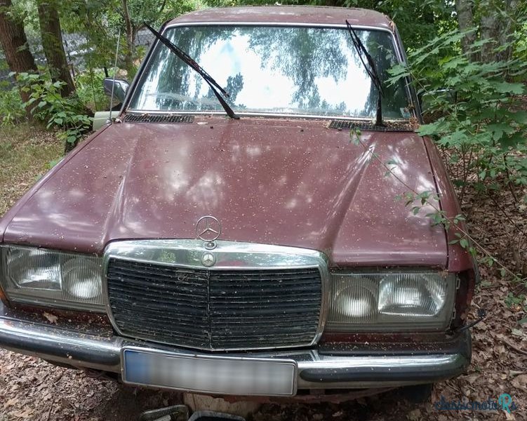 1977' Mercedes-Benz W123 photo #1