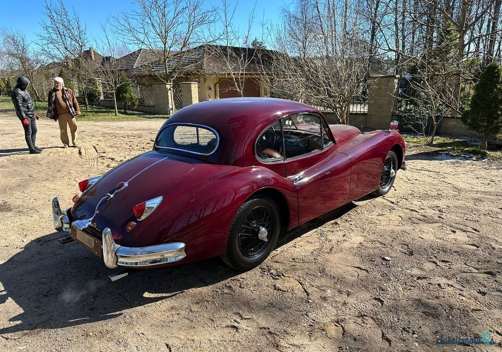 1955' Jaguar XK photo #6