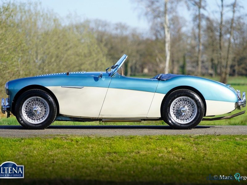 1956' Austin-Healey 100/4 photo #3
