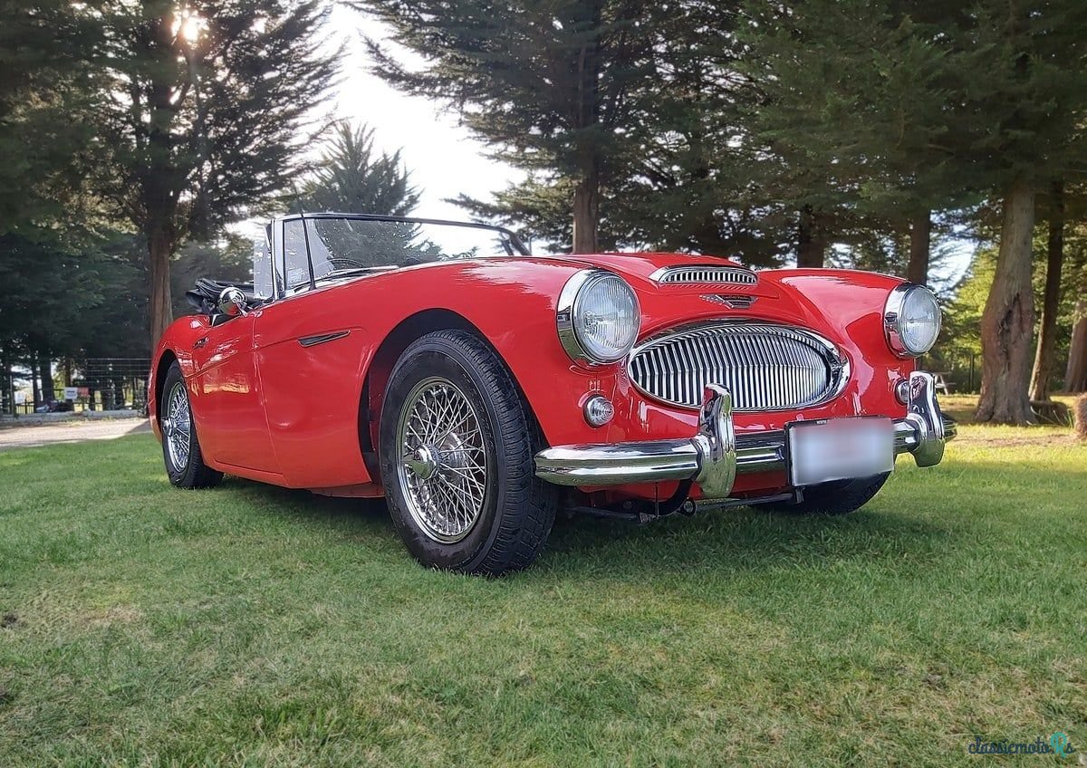 1963' Austin-Healey 3000 photo #2