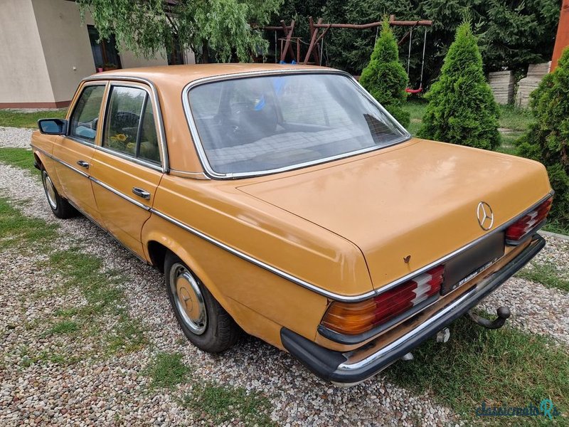 1977' Mercedes-Benz W123 photo #4