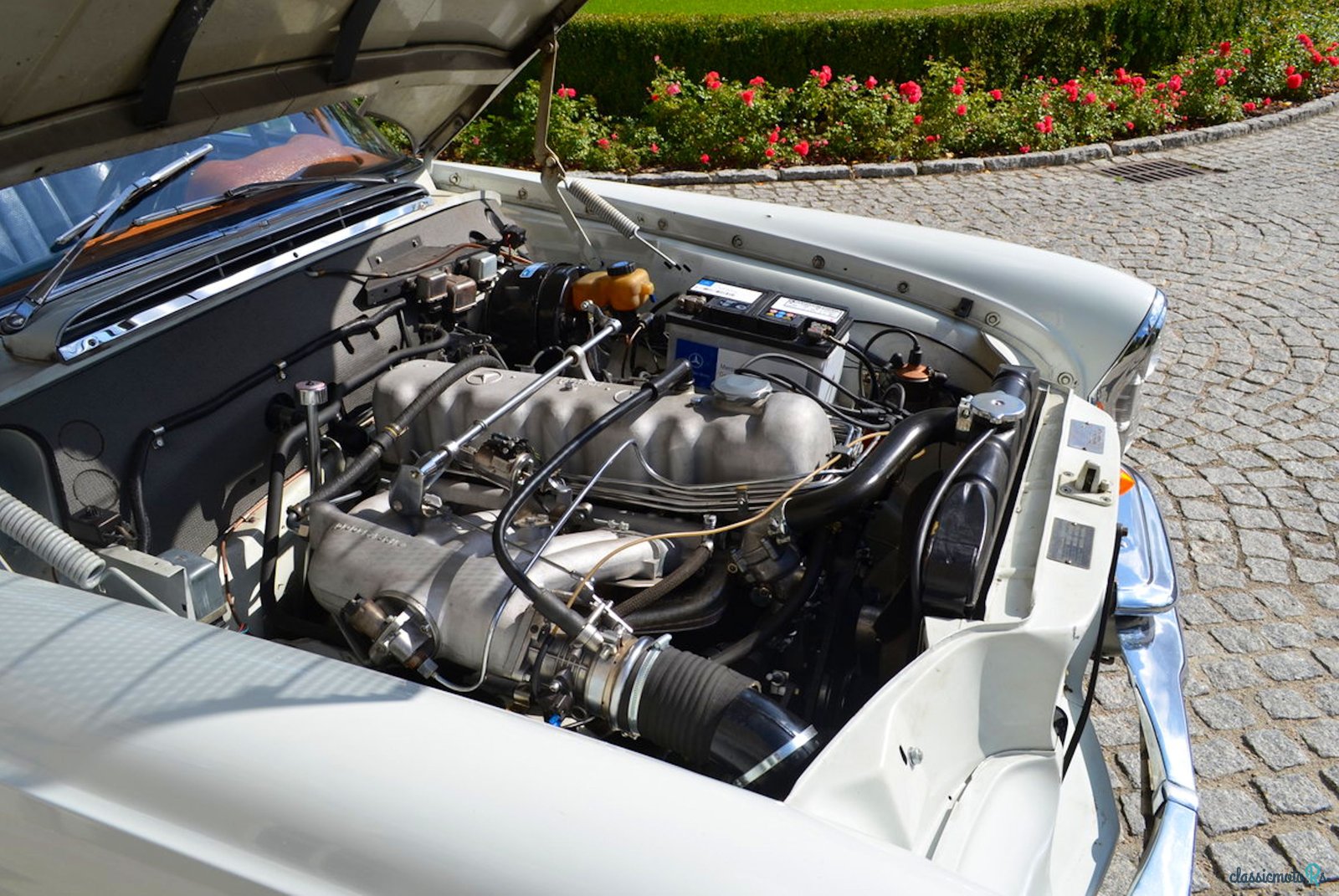 1967' Mercedes-Benz 250 photo #5