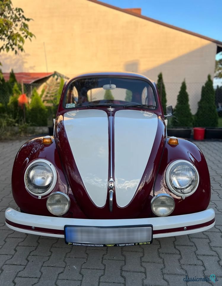 1967' Volkswagen Garbus photo #1