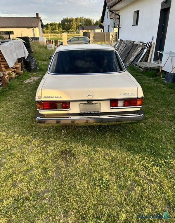 1979' Mercedes-Benz W123 photo #3