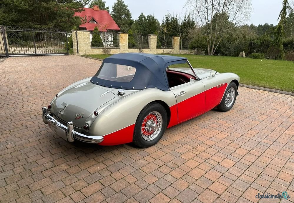 1960' Austin Healey photo #4