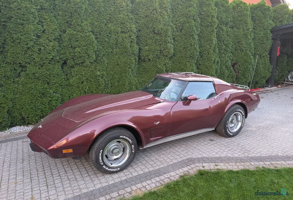 1977' Chevrolet Corvette photo #1