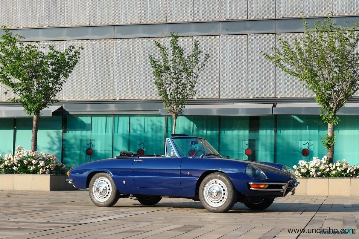 1966' Alfa Romeo Spider Duetto photo #1