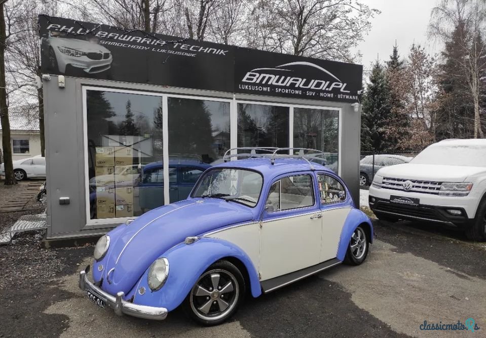 1966' Volkswagen Garbus photo #1