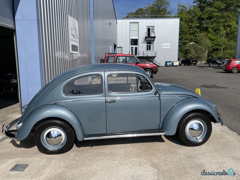 1955' Volkswagen Beetle photo #3