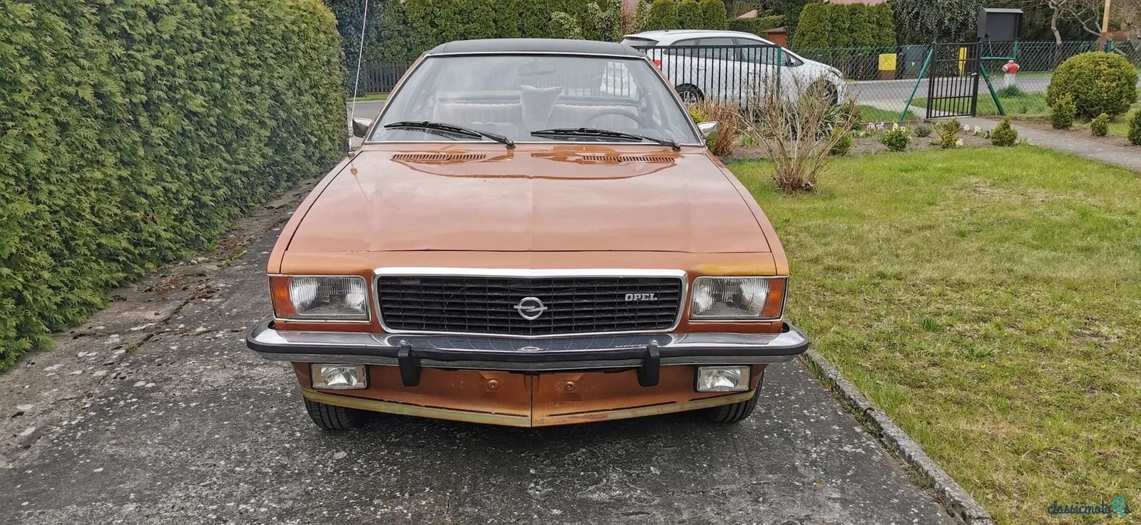 1972' Opel Commodore photo #4
