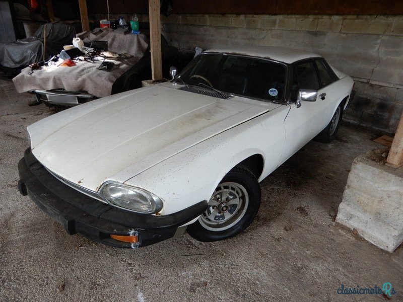 1978' Jaguar XJS photo #3