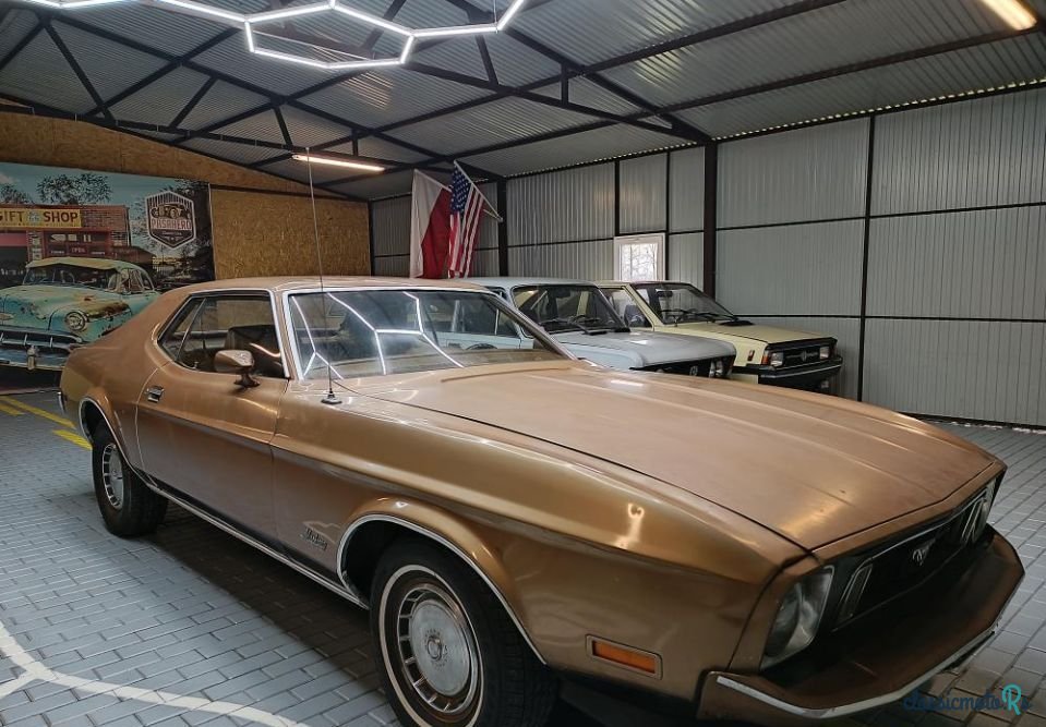 1973' Ford Mustang photo #1